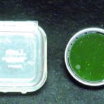Leitz 36mm Green Filter for Summitar Lens